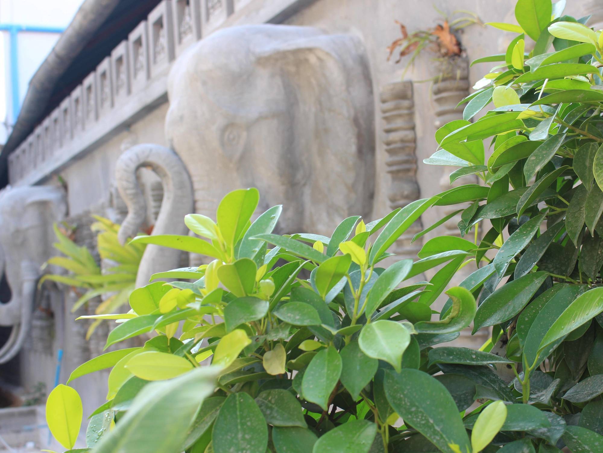 Fancy Boutique Villa Hotel Sziemreap Kültér fotó